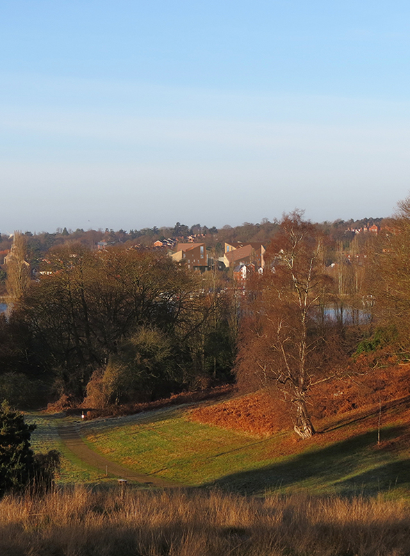 Housing Development by Hoopers Architects in Woodbridge, Suffolk